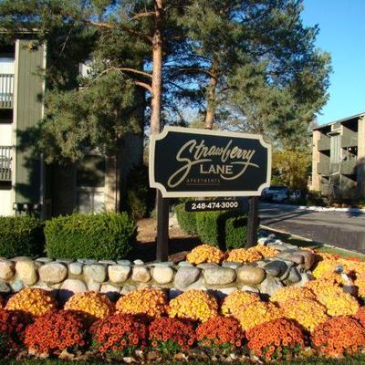 Strawberry Lane Image 1