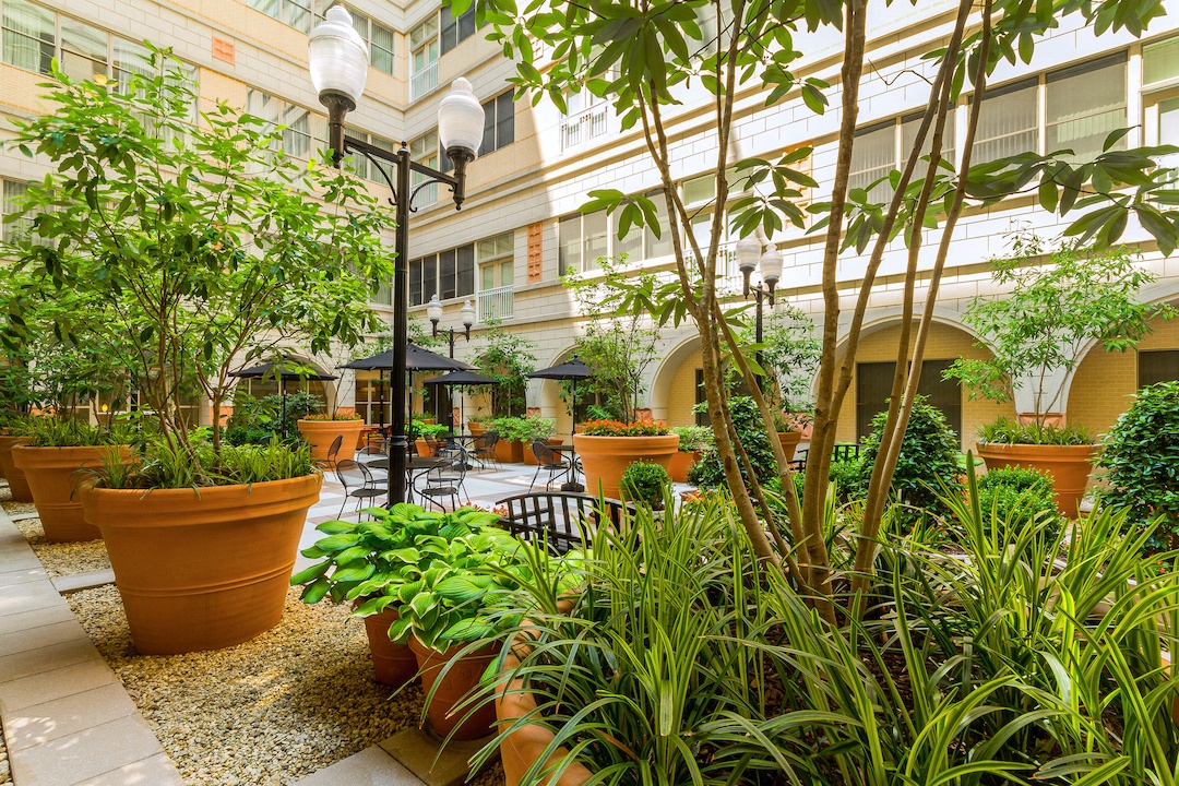 The Atrium Image 52