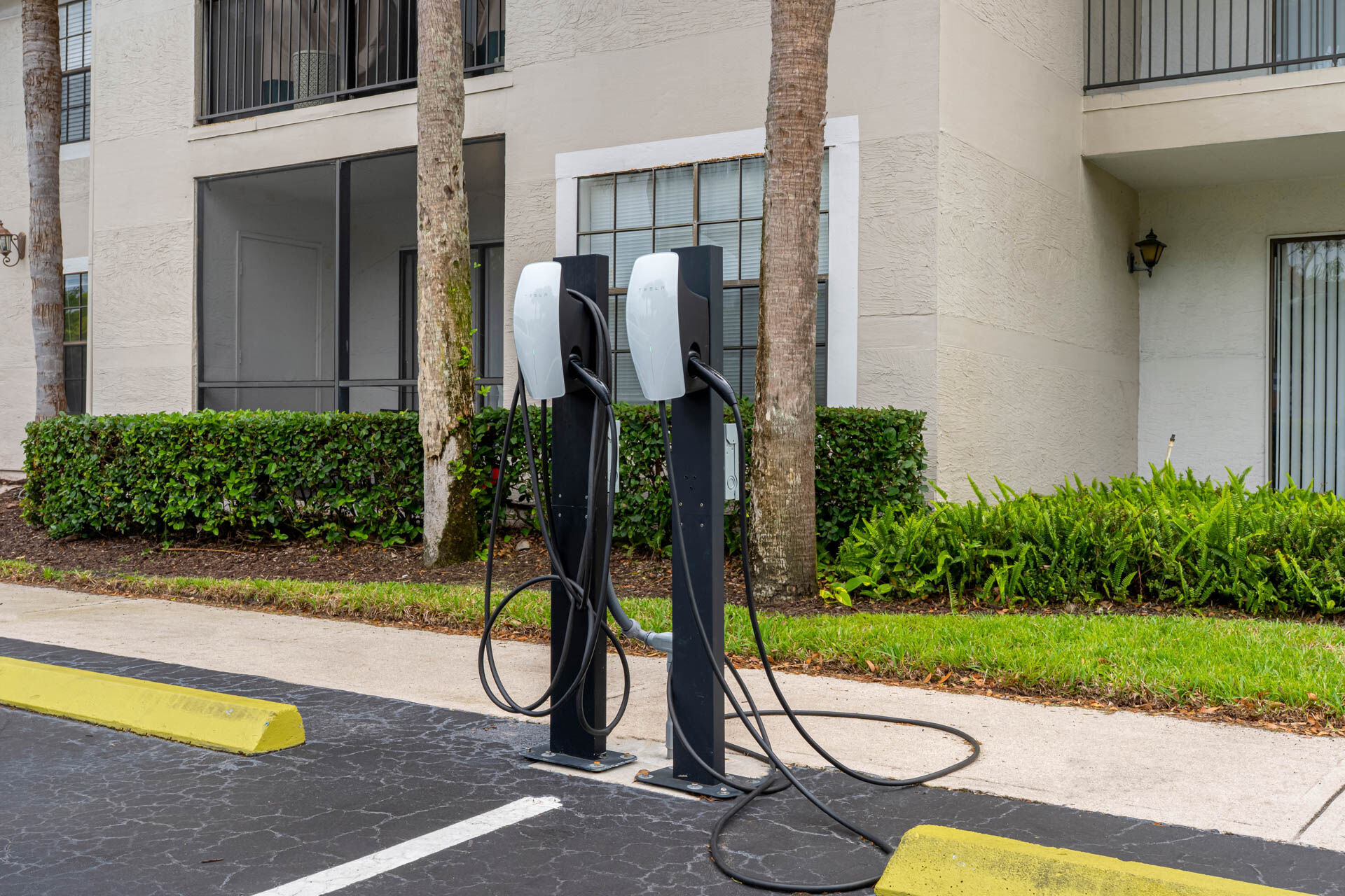 Mizner Court Image 36