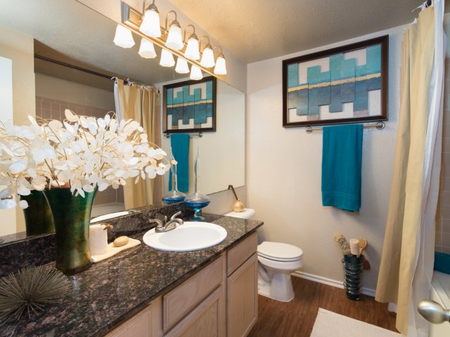 Colonnade at Willow Bend Image 4