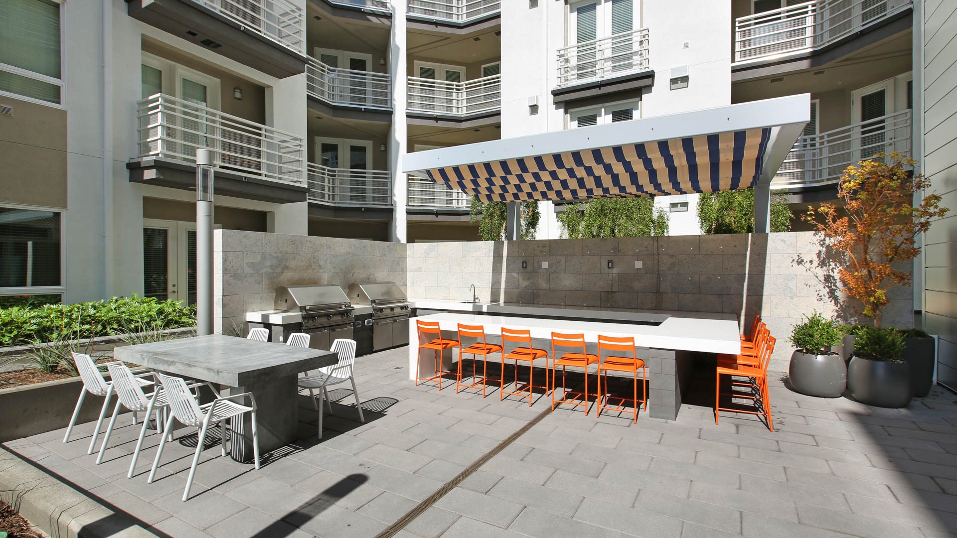 Altitude Apartments Image 3