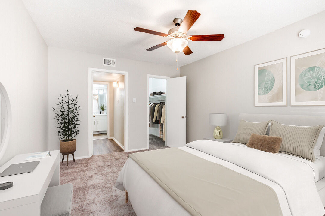 Solana Image 18