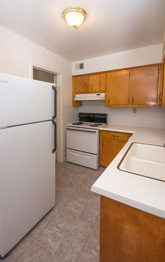 Pines on Scott Image 5