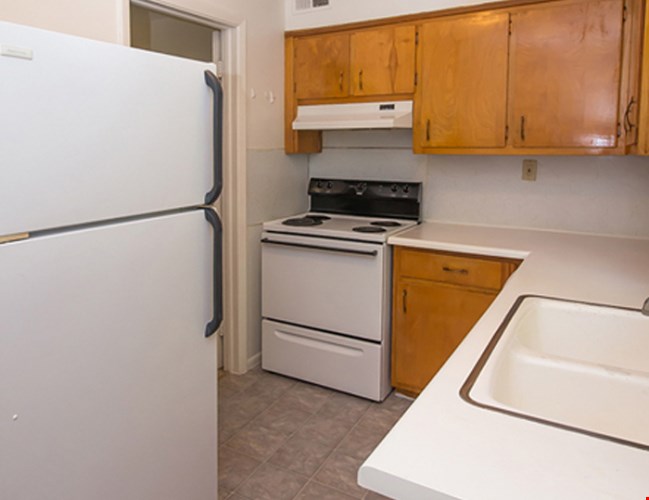 Pines on Scott Image 5