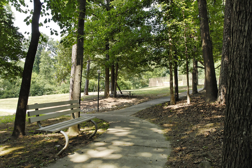 Cross Creek Preserve Image 2