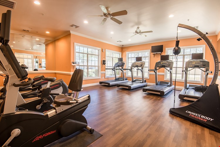 Estancia At Ridgeview Ranch Image 8