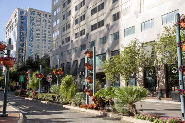 Camden Thornton Park Image 52