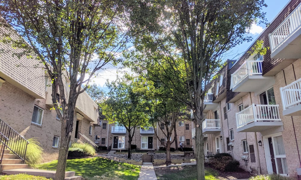 Curren Terrace Image 3