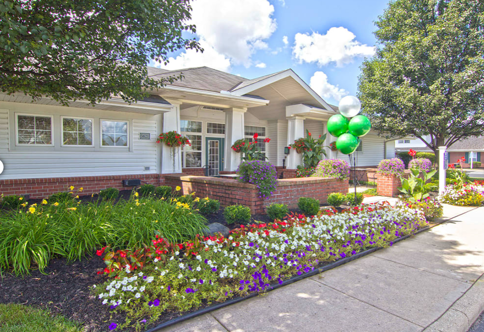 Albany Commons Image 3