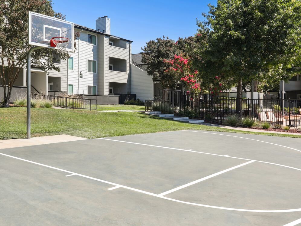 Basketball court