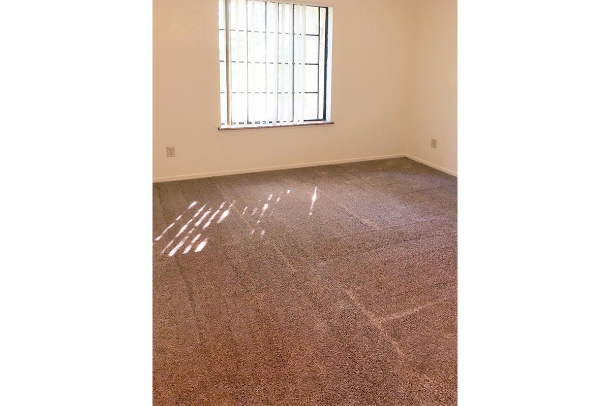 Centennial Park View Image 11