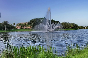 The Grove at Turtle Run Image 10