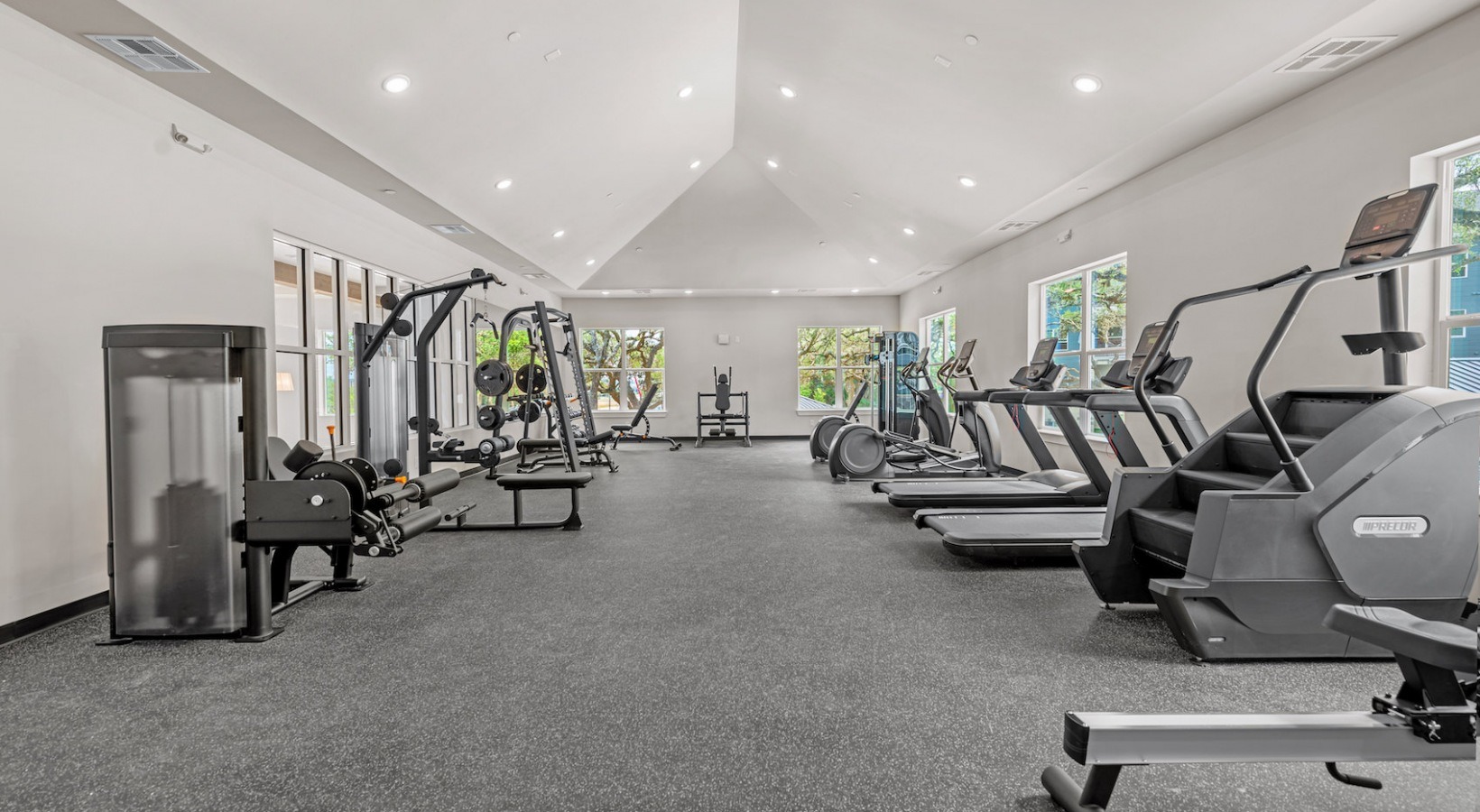 Elation at Buckskin Image 5