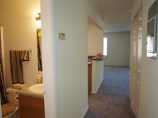Pinetree Apartments Image 7