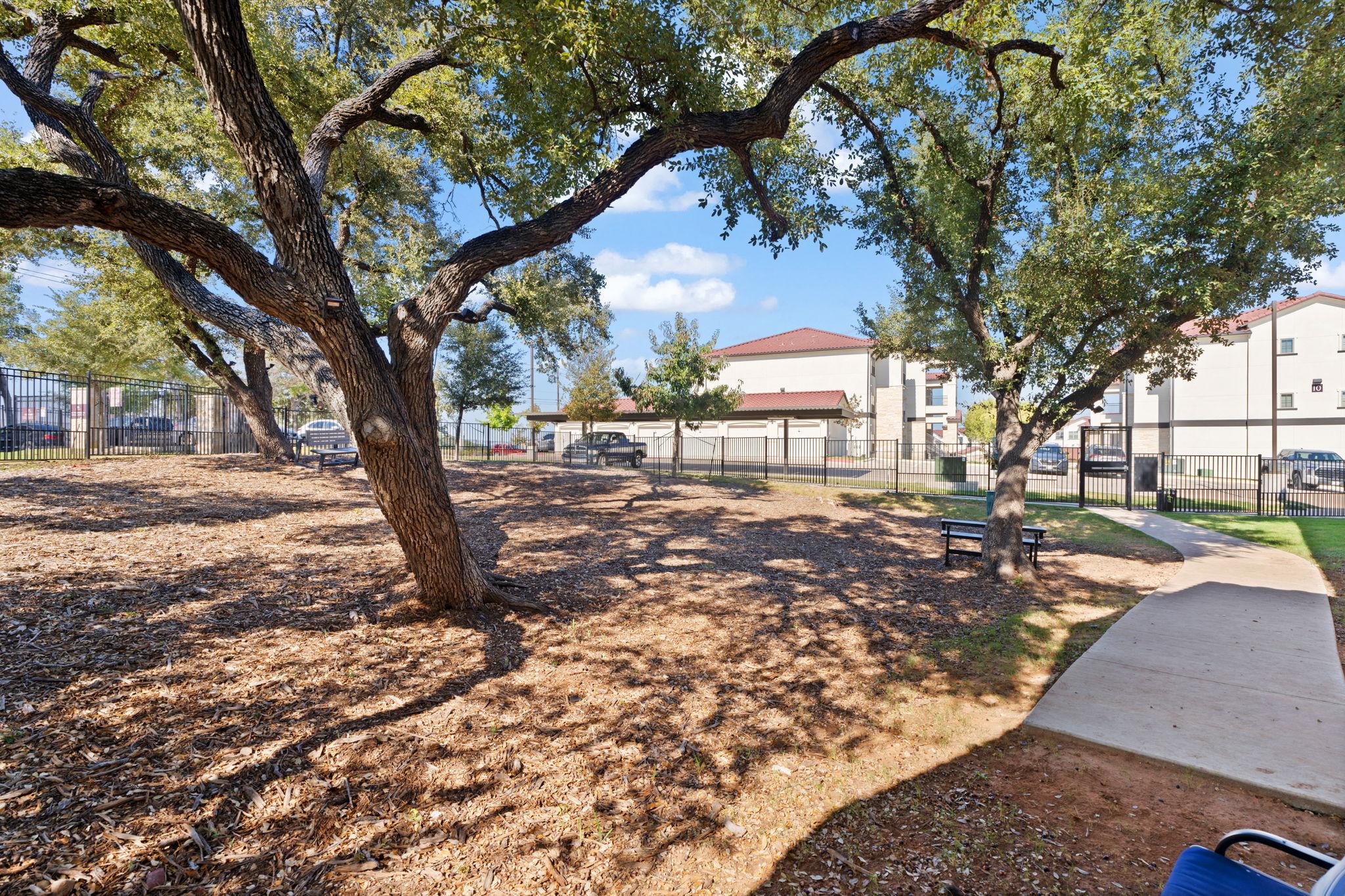 Water Oak Image 92