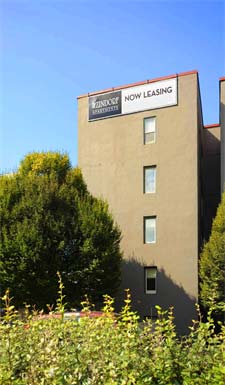 Zindorf Image 2