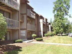 Pinery Woods Image 2