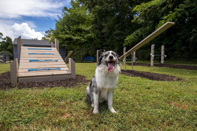 Bring your pup down to our off-leash "Bark Park" for some exercise.