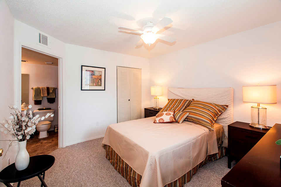 Cricket Club Image 7