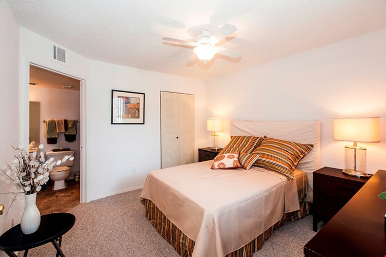 Cricket Club Image 7