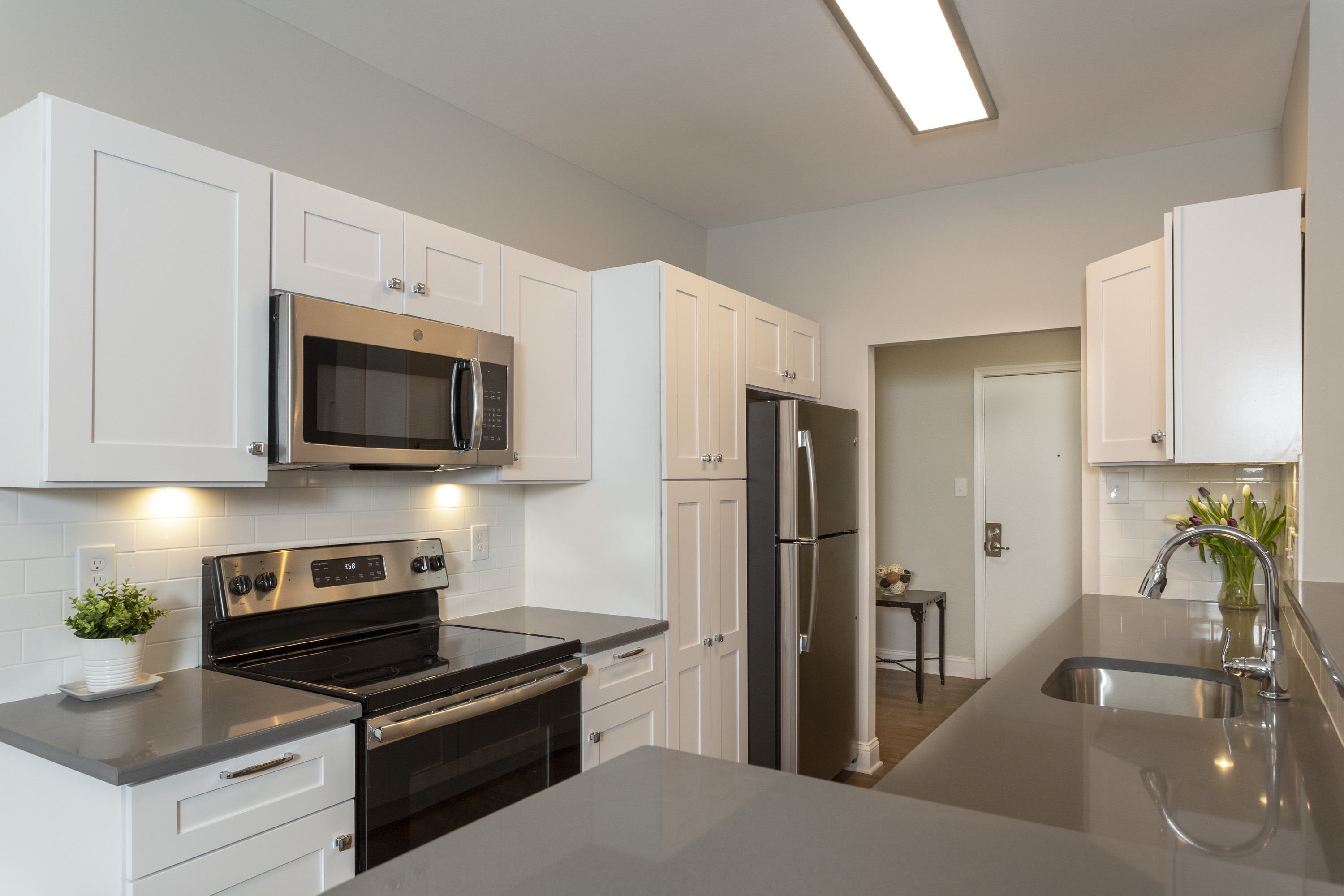 Radnor Preserve Image 5