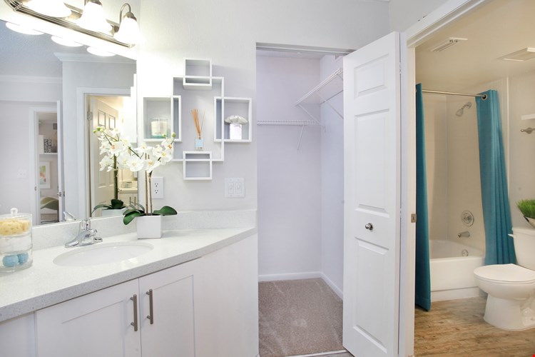 Solara At Wellington Image 8