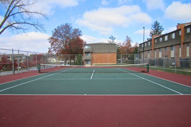 Gladstone Meadows Image 3