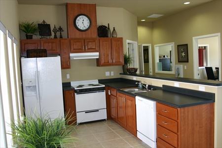 Forest Creek Image 2