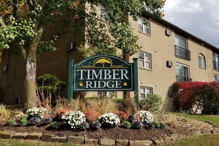 Timber Ridge Apartments Image 5