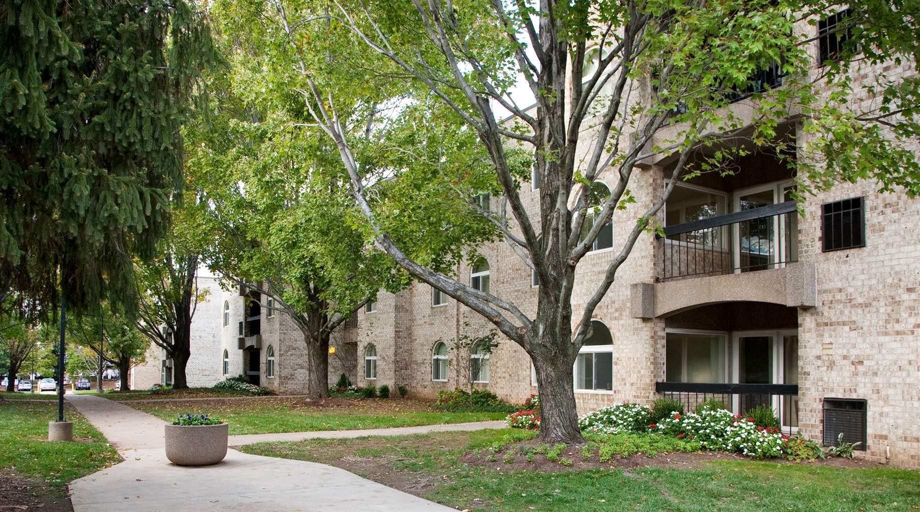 The Commons of McLean Image 5
