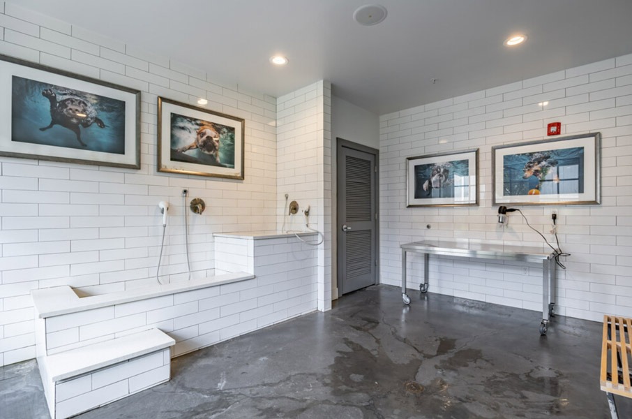 Ayla on Krog Image 11