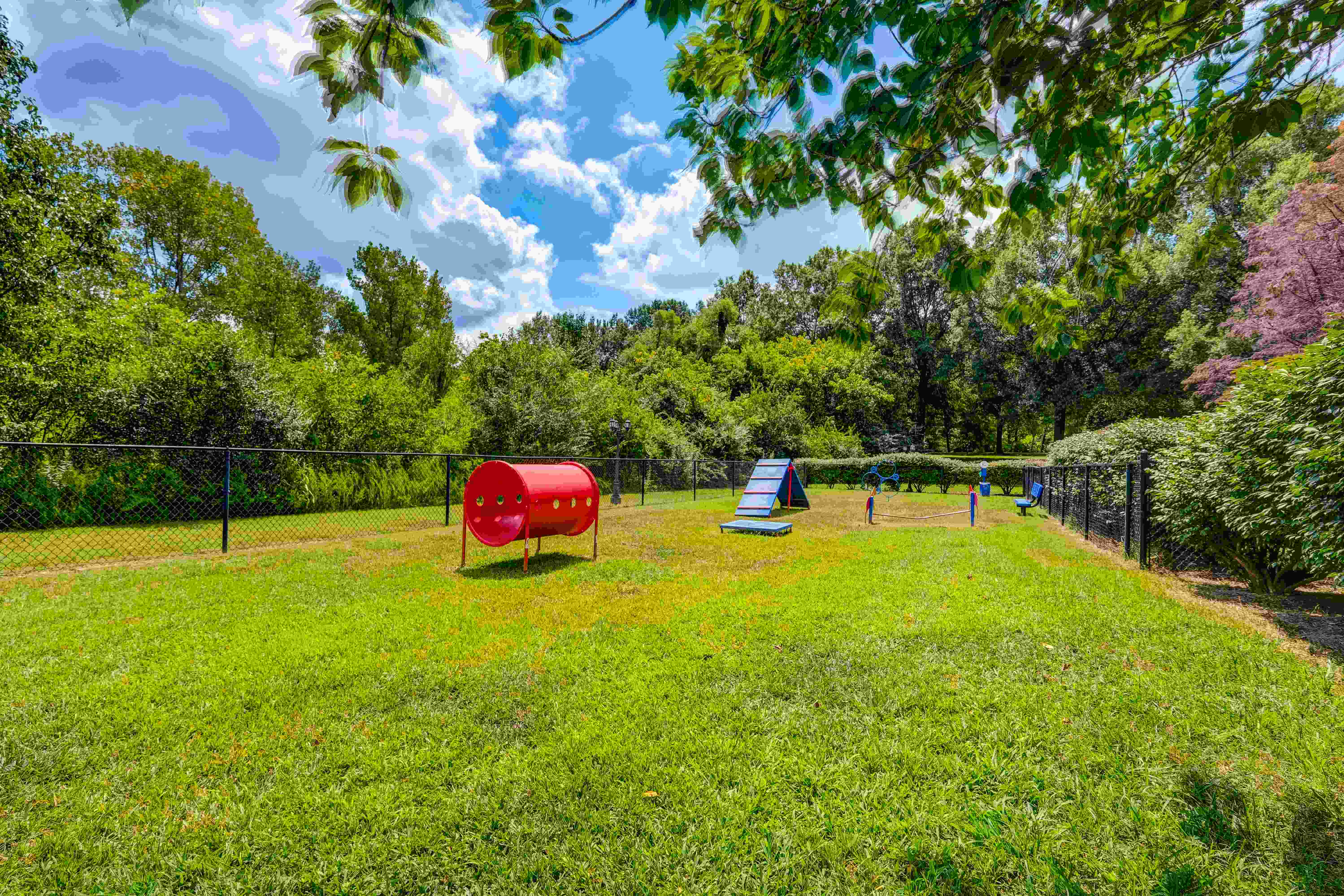 Wyndchase Aspen Grove Image 2