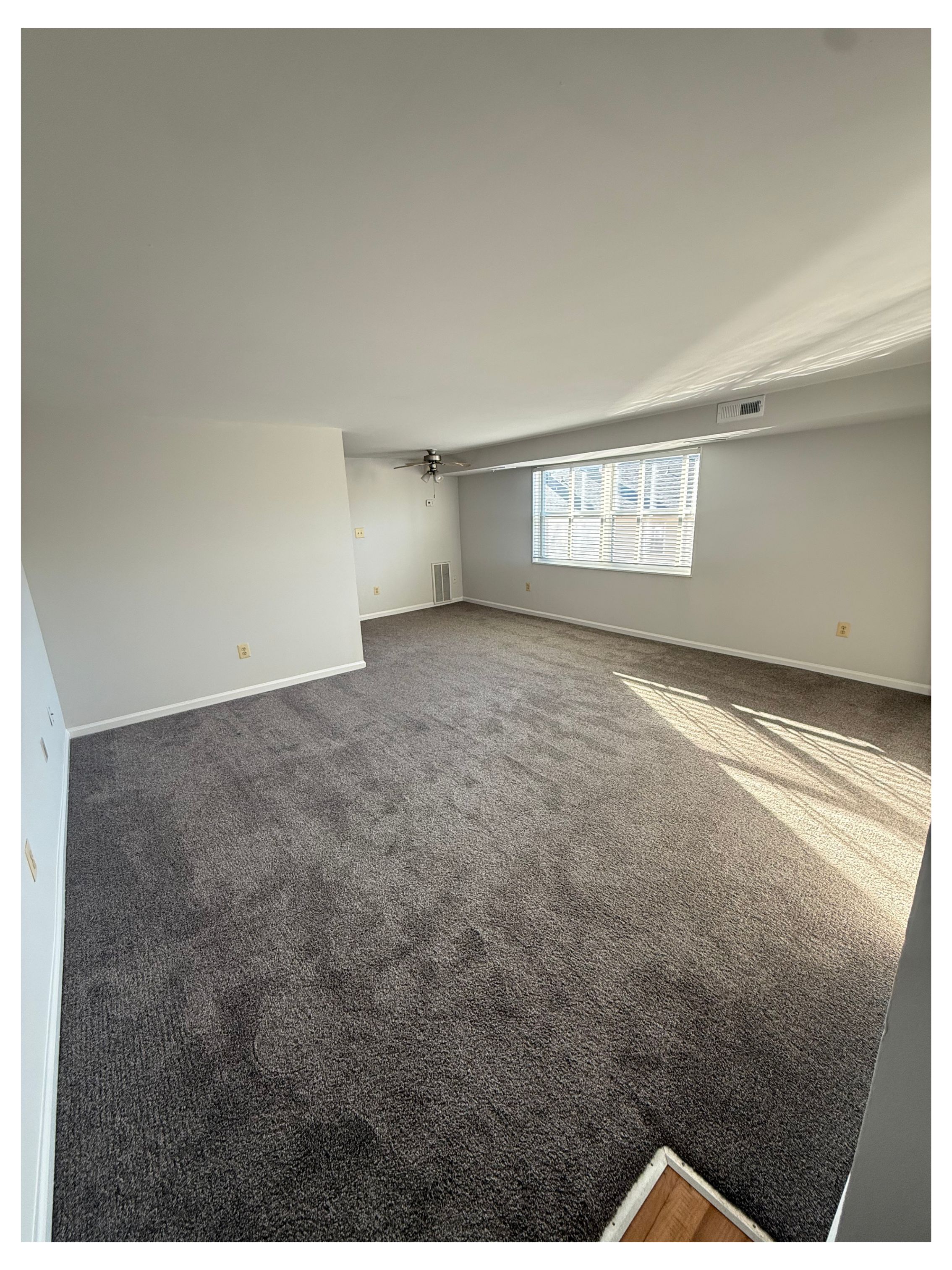 Longview Image 152