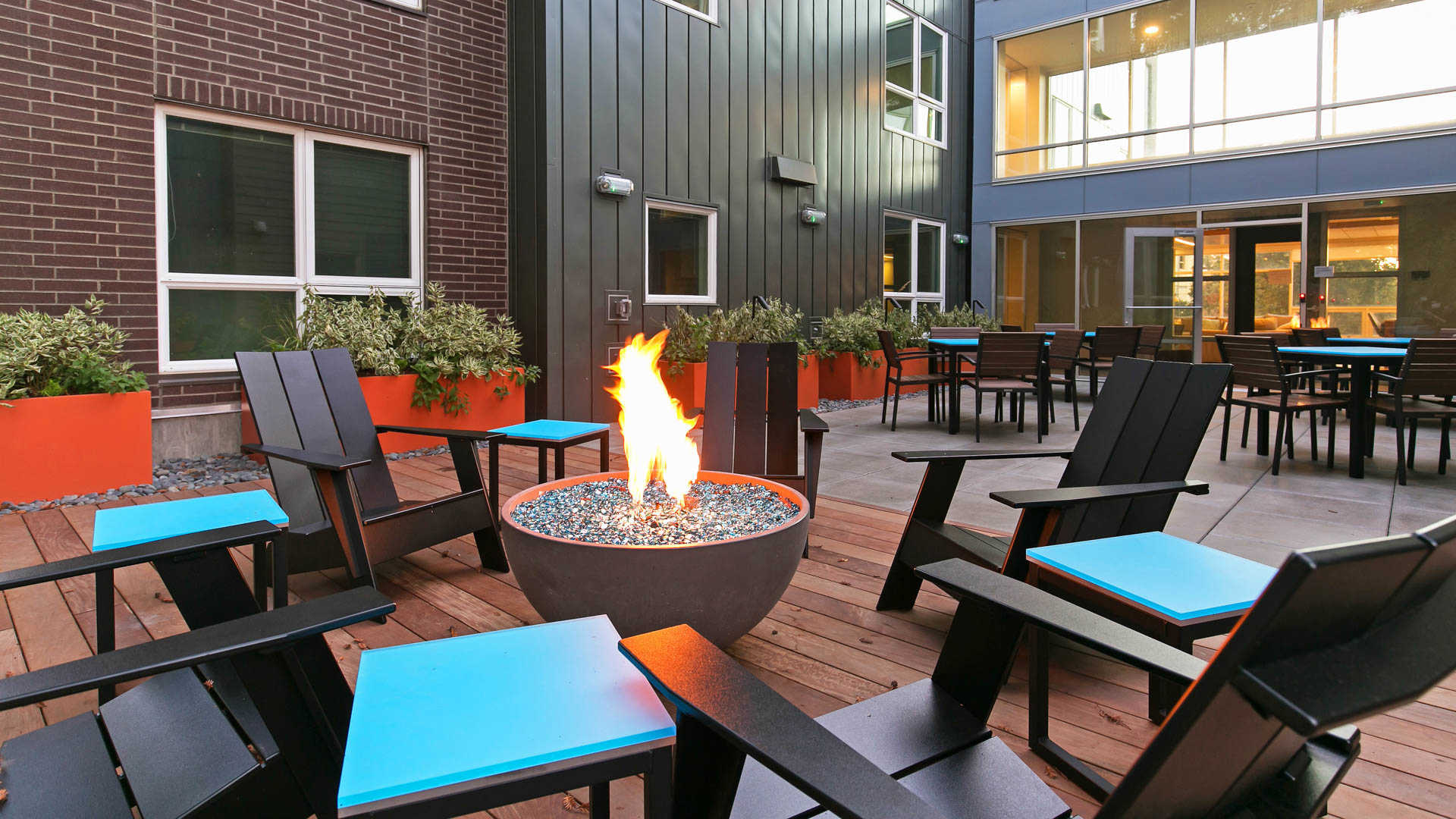 Springline  Image 33