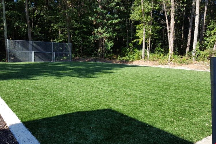 English Oaks Image 3