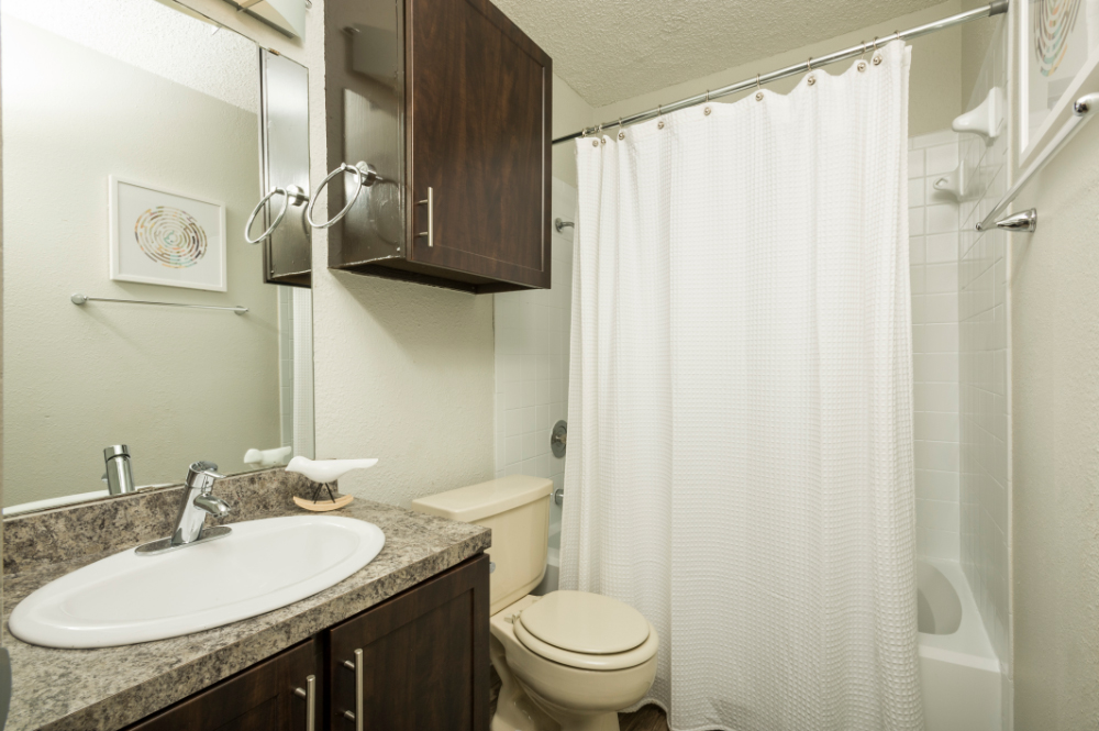 Upgraded Bathroom