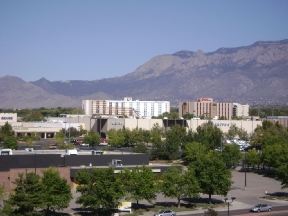 The Landmark Image 5