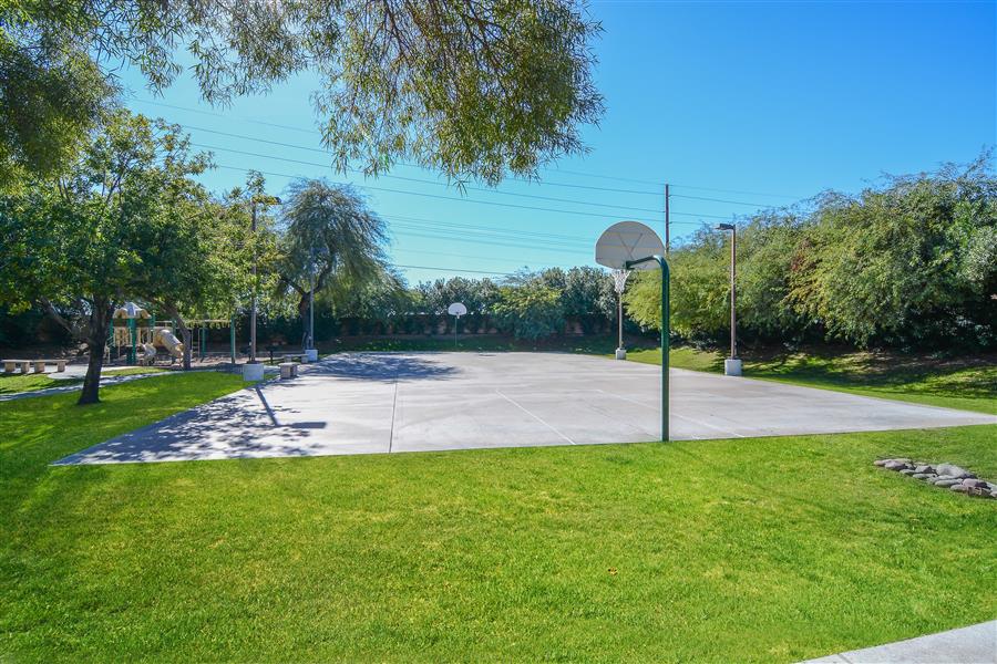 Basketball Court