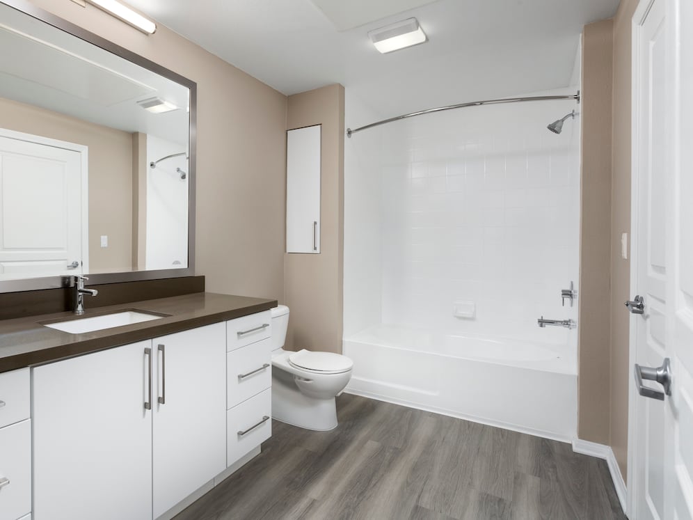 Newly renovated Design Scheme I bath with quartz countertop, new cabinets, and hard surface plank flooring