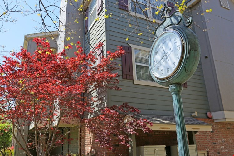 The Chesterfield Image 1