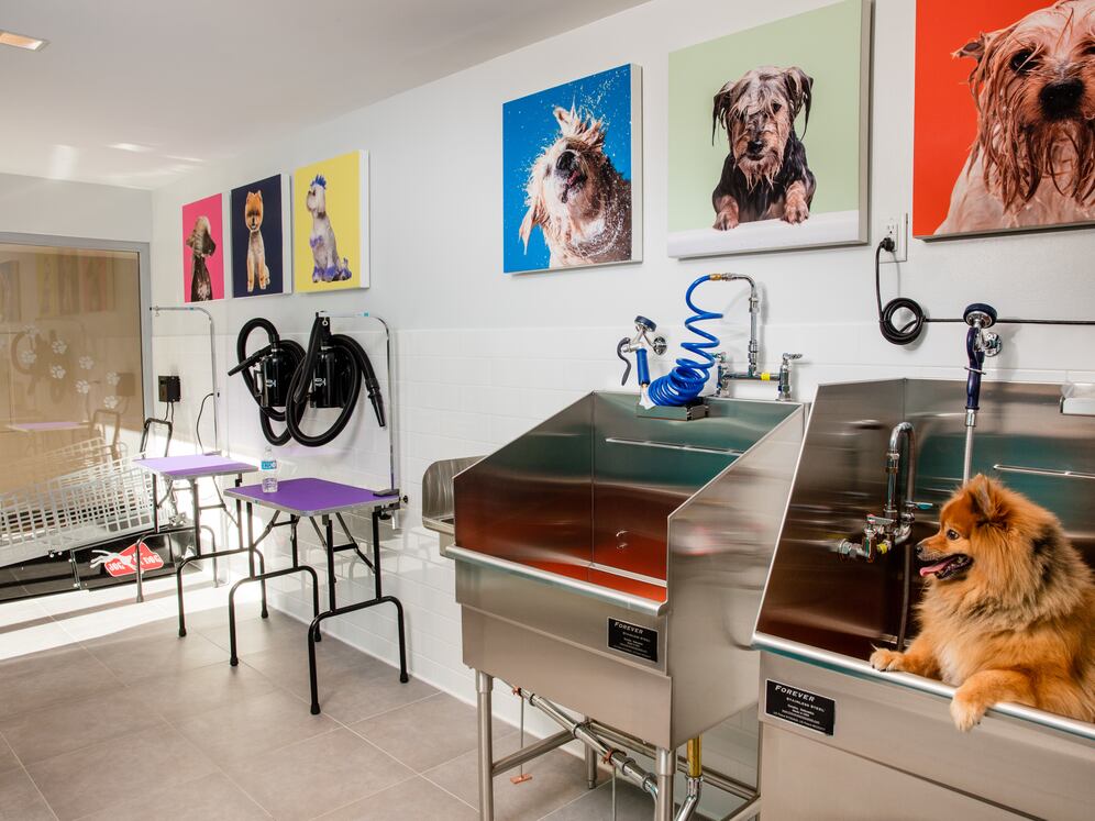 WAG pet spa