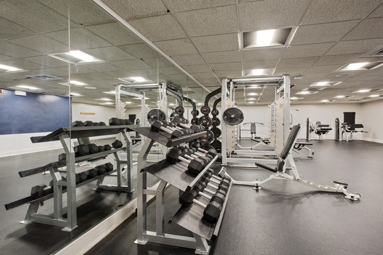Cardio and weight training equipment available in the fitness center