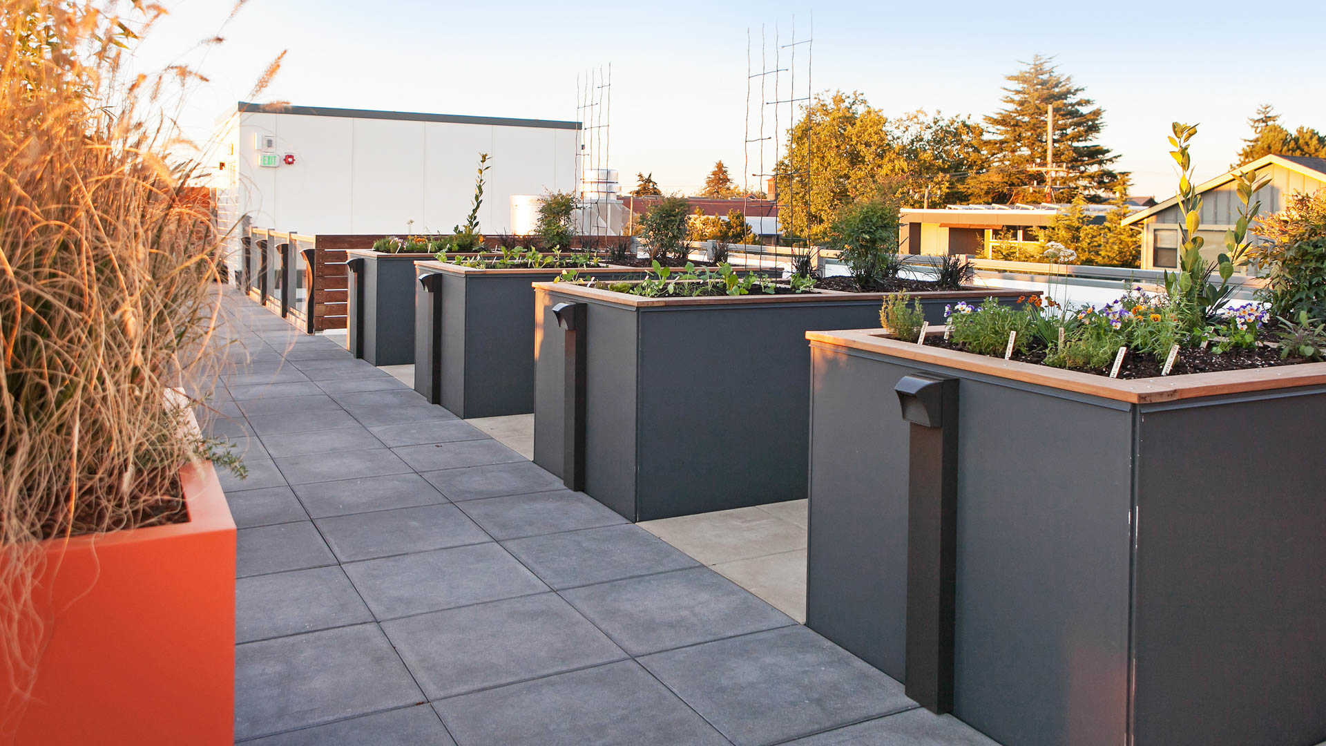 Springline  Image 37