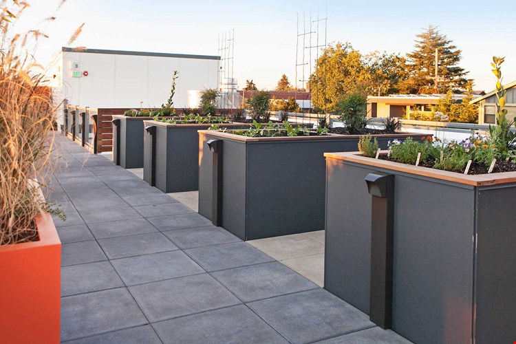 Springline  Image 37