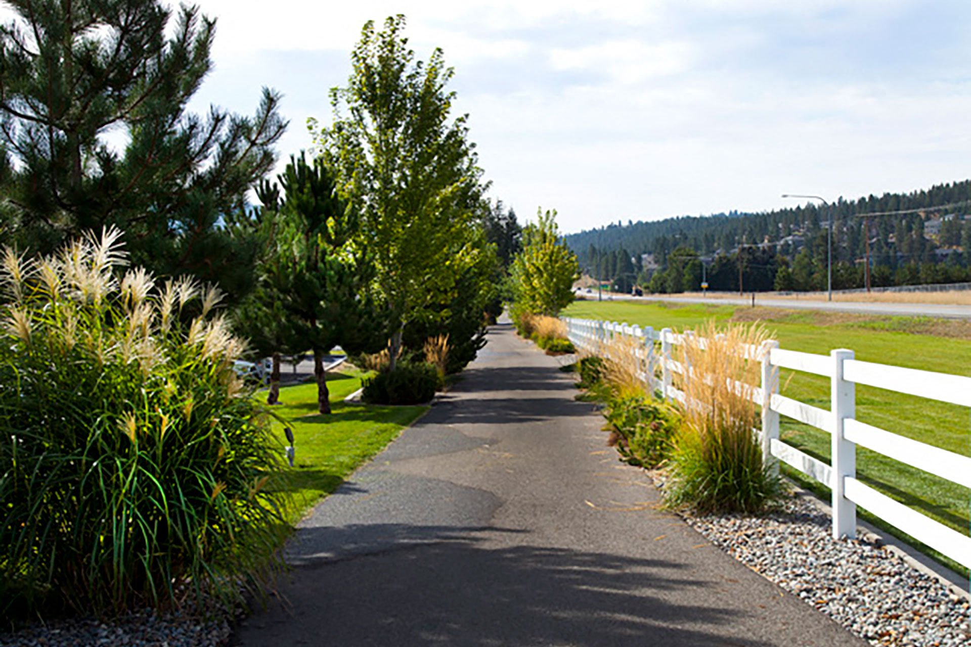 Trailhead and Hiking Paths