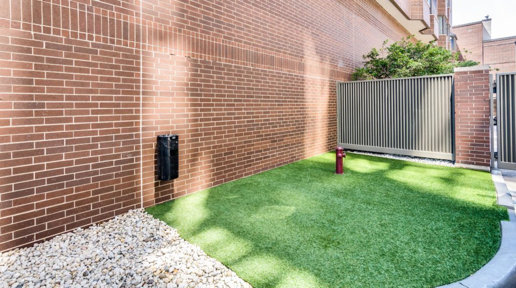 Eugenie Terrace on the Park Image 27