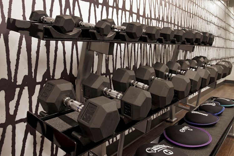 Fitness center with strength equipment