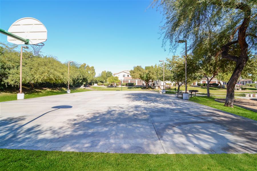 Basketball Court