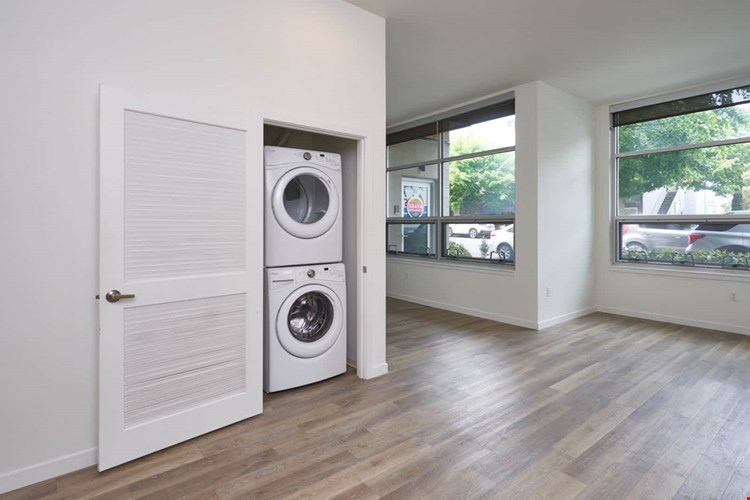 Springline  Image 48