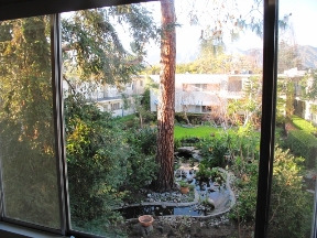 The Continental Arcadia Image 9